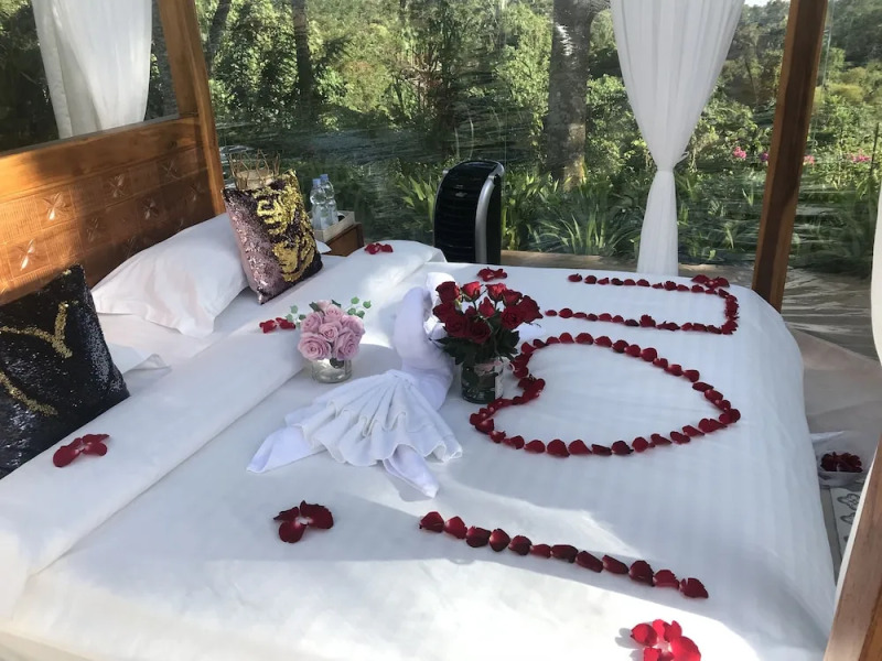 Jungle Bubble Lodge Ubud - Campsite