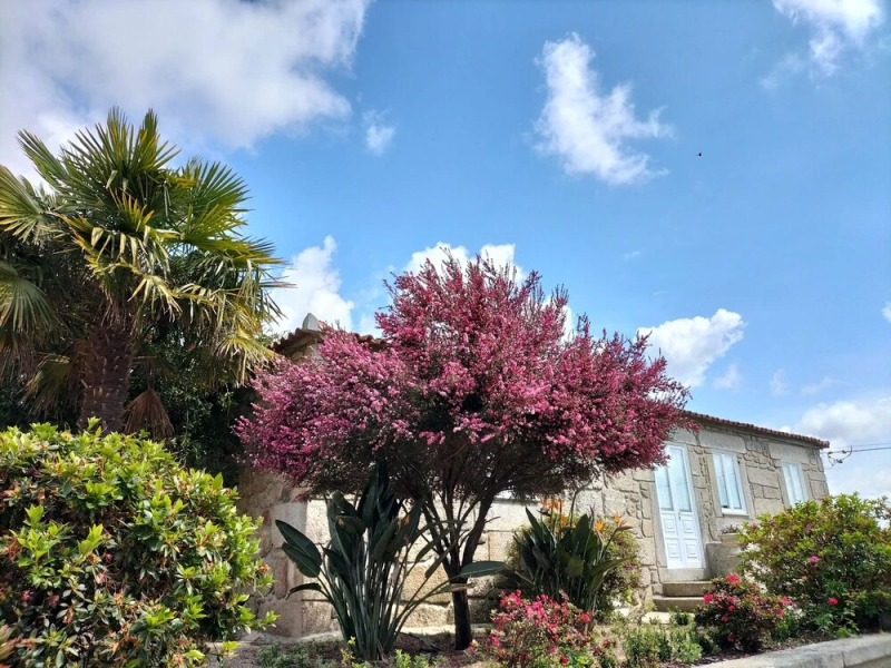 Quinta de Castelhão