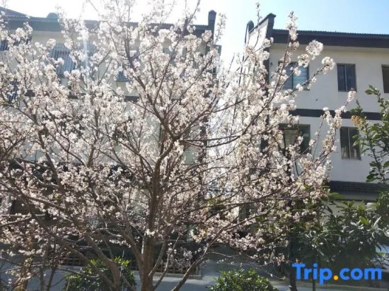 Yijia Xiaoju Inn Wuzhen