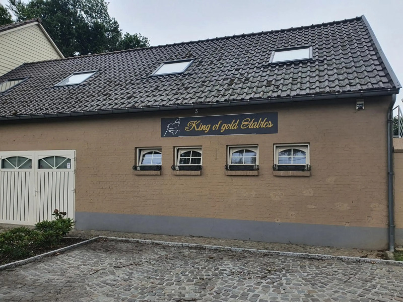 King of Gold Stables appartement met stalling voor 5 paarden