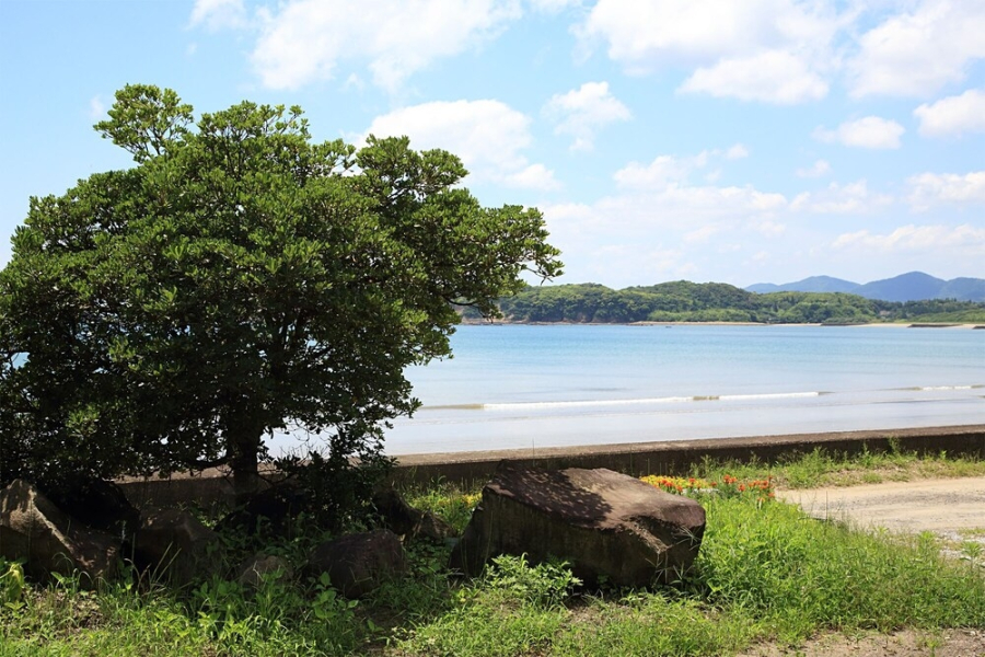 Sasayakana Ouchi Sakida Kushima