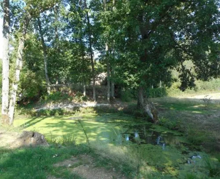 Heliomonde Naturisme