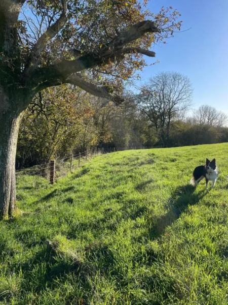 Higher Melcombe Manor