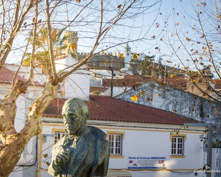 House With 2 Bedrooms in Arraiolos, With Enclosed Garden and Wifi