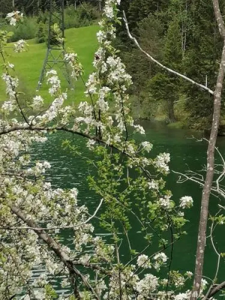Gästehaus Maria - Privatzimmer