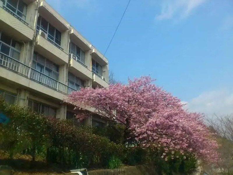 Amimoto Kawazu Hotel