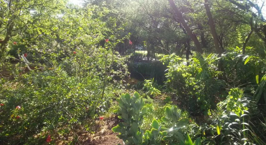 Guest House Retro Motel