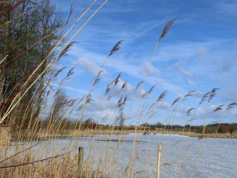 Domäne Neu Gaarz Apartments