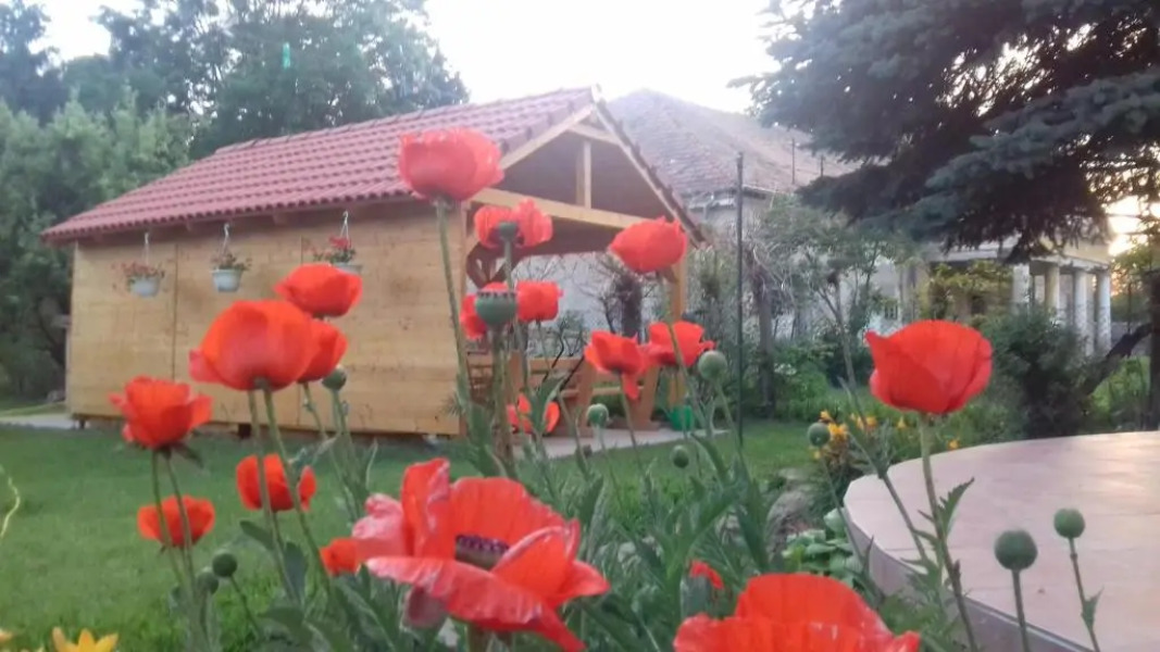 Rózsakert Vendégház