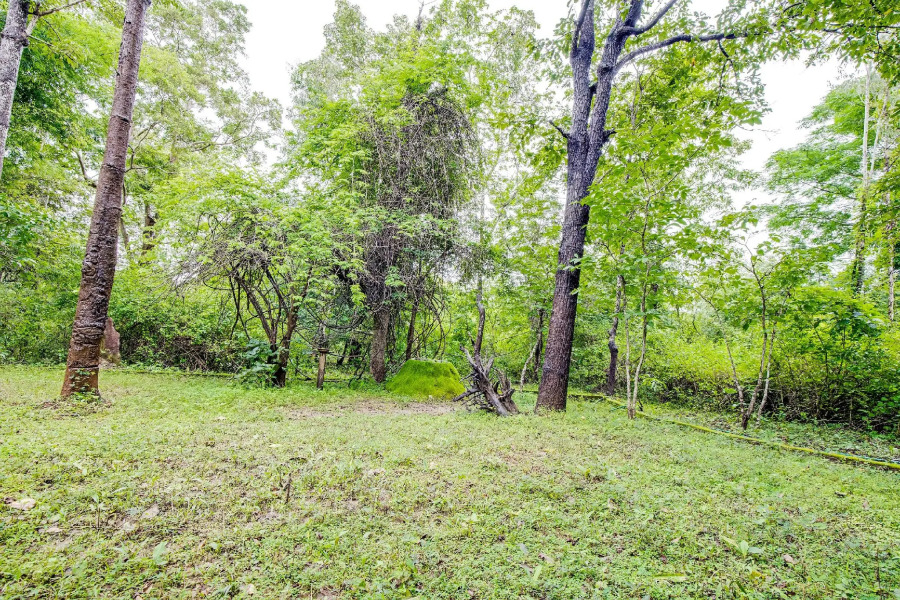 Jungle Lodges And Resorts- Sakrebyle Elephant Camp