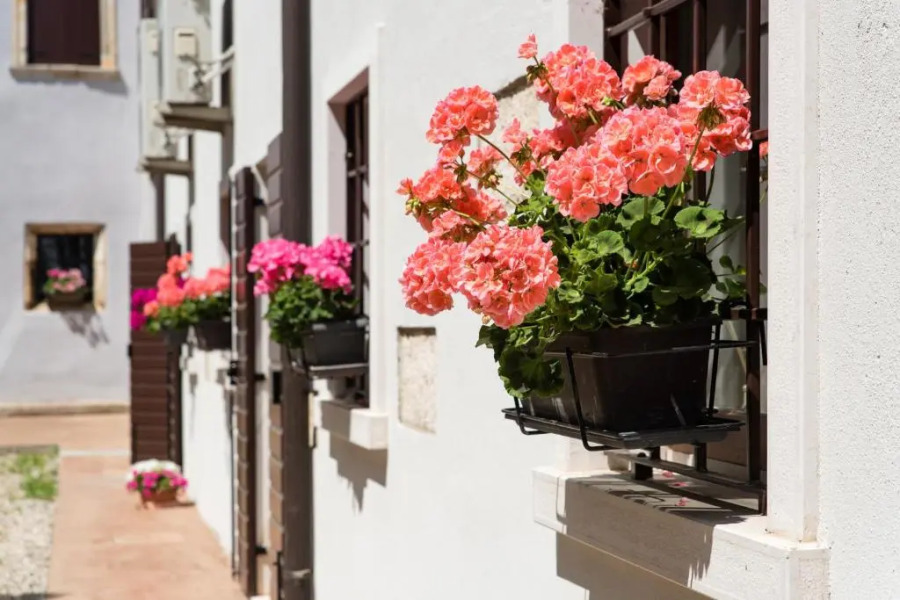 Apartment Colombare Teboi