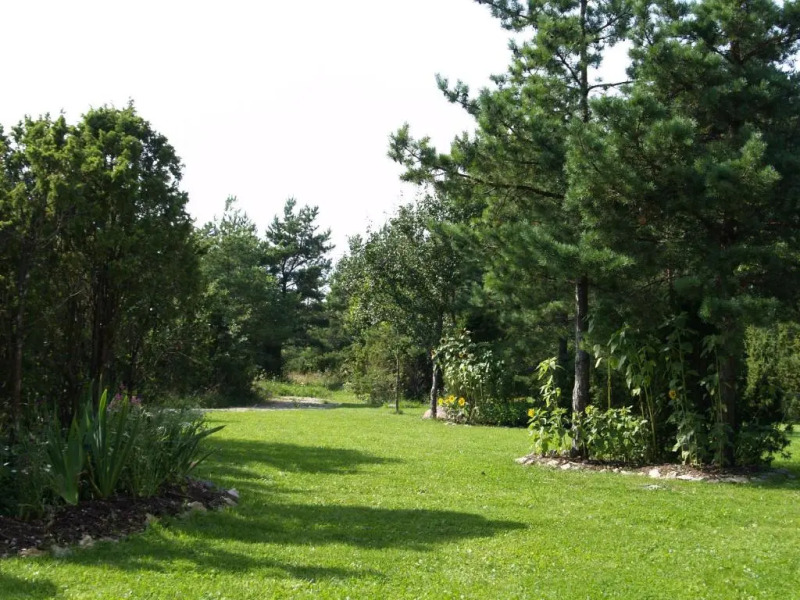 Kibuvitsa Holiday House