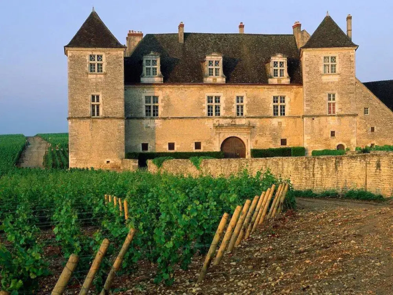 Gîte Aux Vignes de Marey en Bourgogne