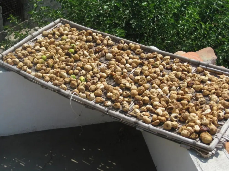 Agriturismo Montesalerno