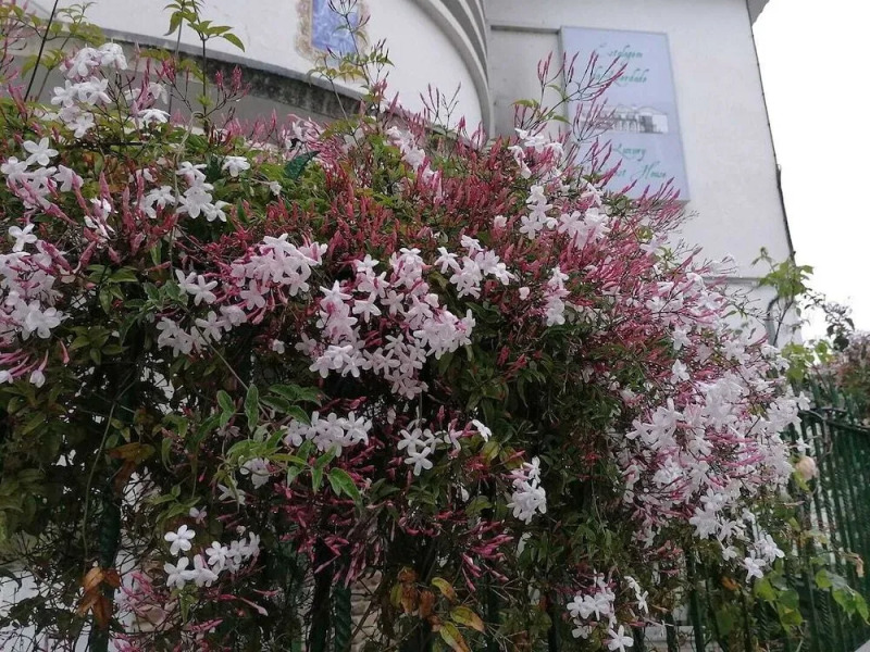 Estalagem da Liberdade