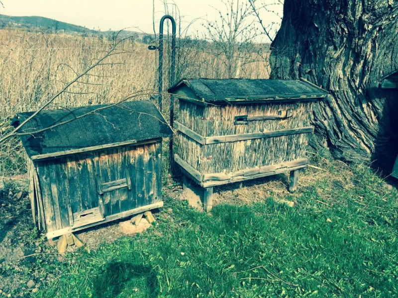 Apartamenty i Pokoje Aneta