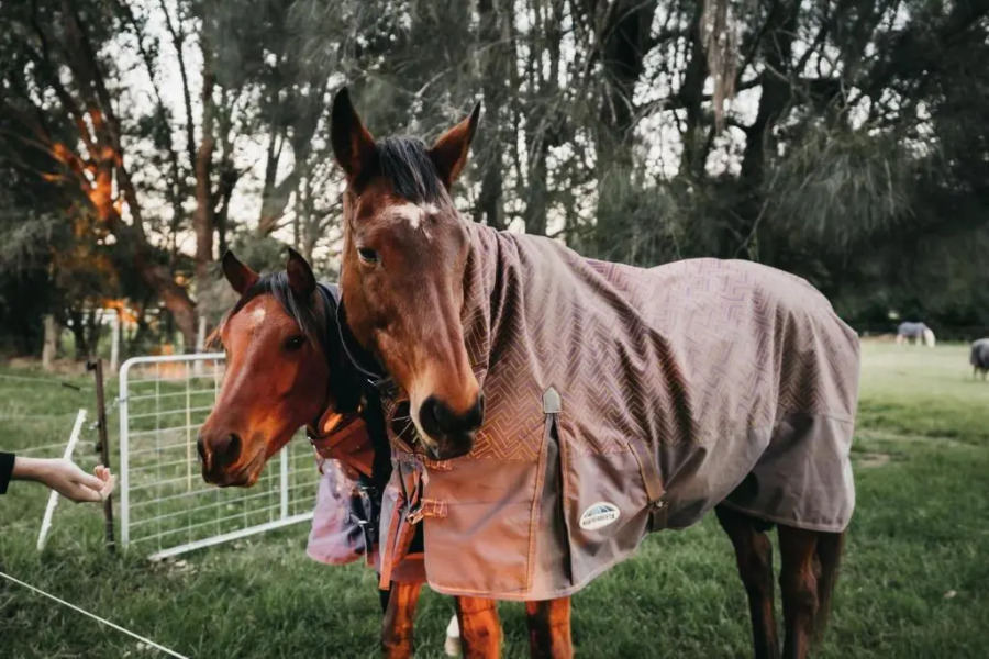 True Colours Tiny House