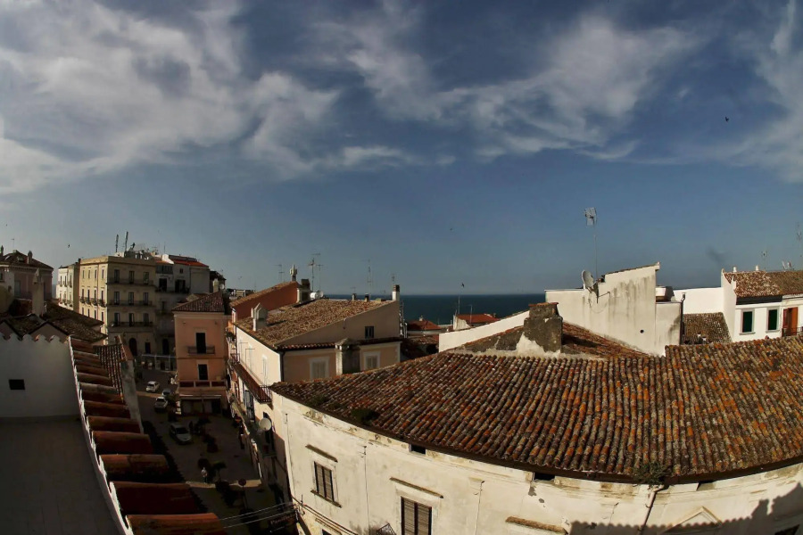 Edificio 15 House Elite