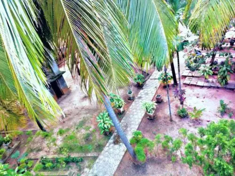 Elegant Green Beach Resort