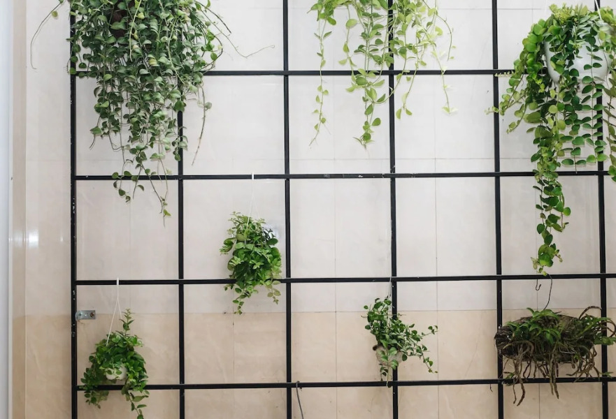 White Hotel - Hostel