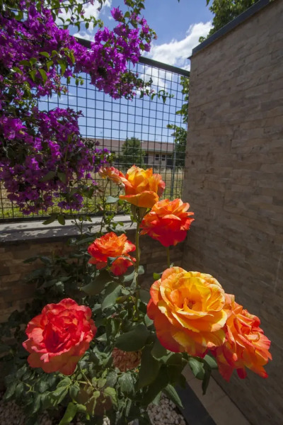 Villa Jasmine tra Etna e Mare