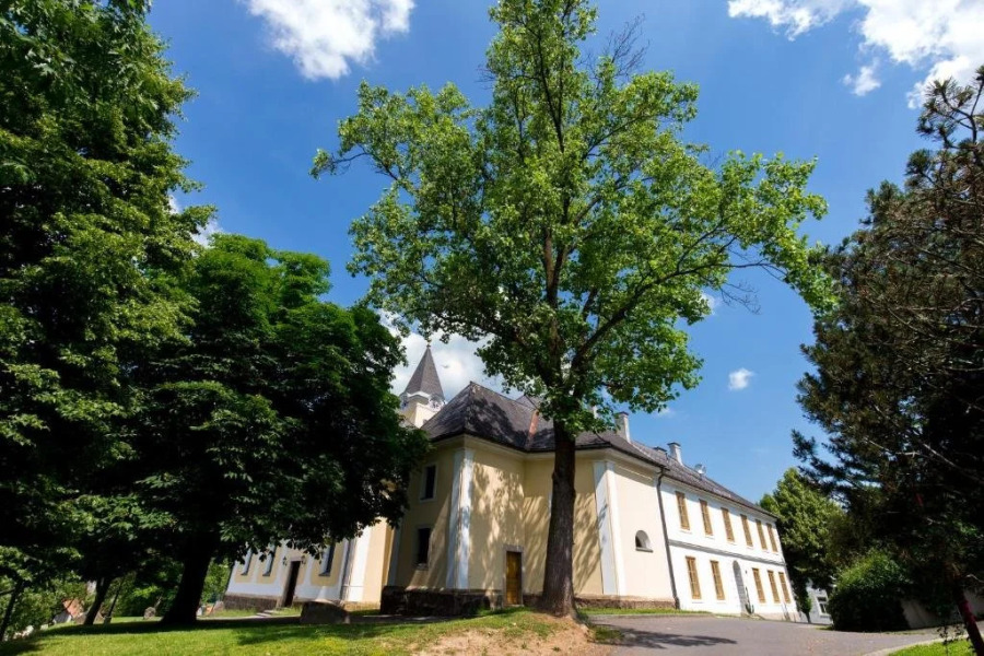 Himmlisch Urlauben in Tieschen