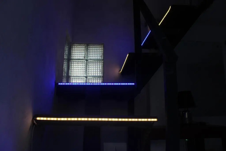 Natures Bliss Garden Stay