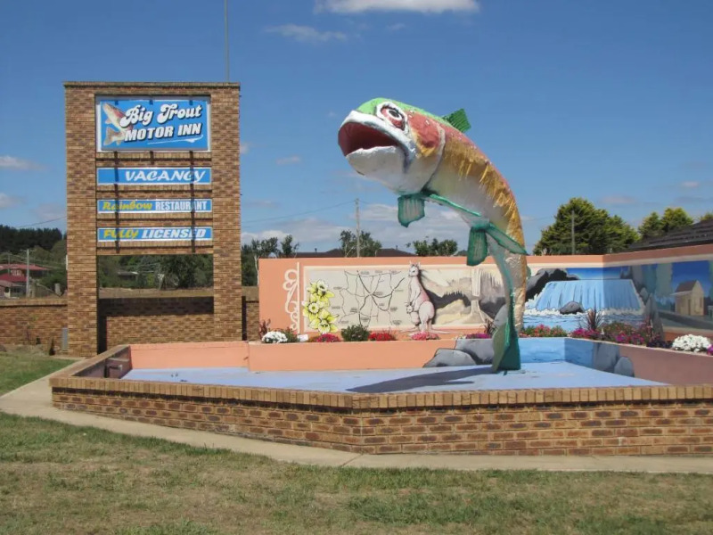 Big Trout Motel