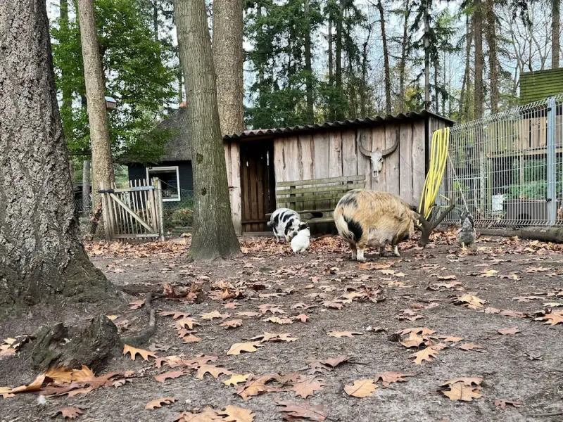 Chalet in Lochem Near Forest & Cycling