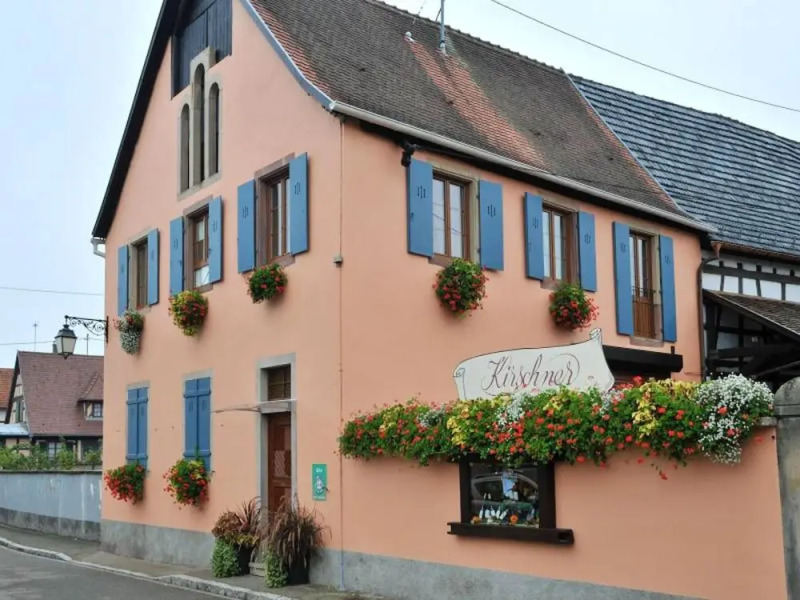 Apartment With 3 Bedrooms in Dambach-la-ville, With Enclosed Garden and Wifi