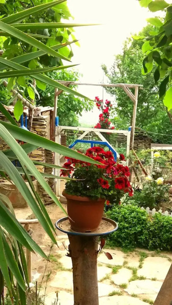 Kaplan Butik Pansiyon