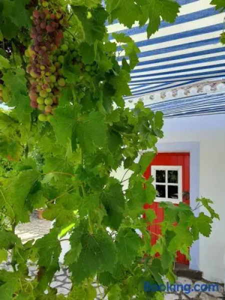 Casa Branca do Olival