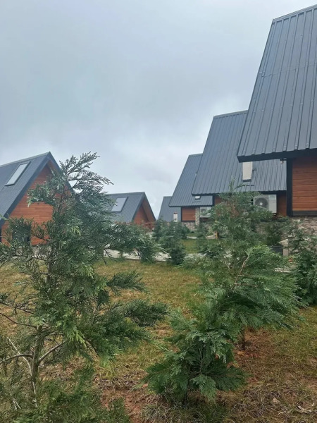 Of Çamlık Bungalov