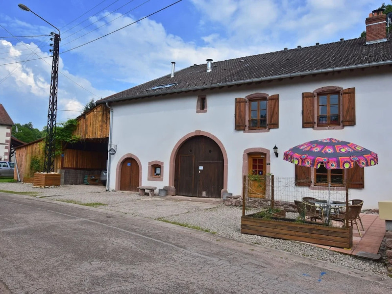 Apartment in Saint-dié-des-vosges With Terrace