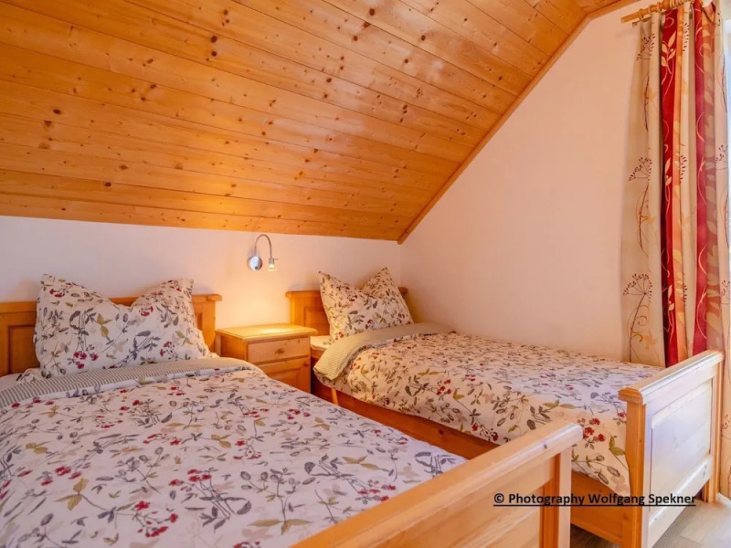 Chalet in Carinthia With Sauna Near Ski Slopes