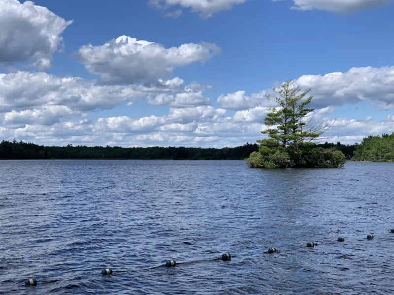 Pocono Retreat: Lake, Firepit, Bbq, Gameroom, Ski 4 Bedroom Home by RedAwning