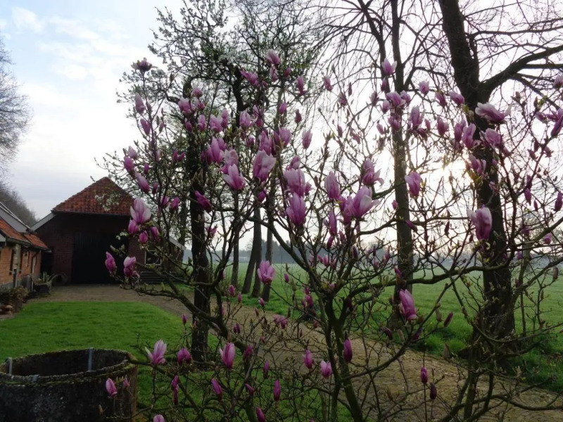 Thil's Bed and Breakfast