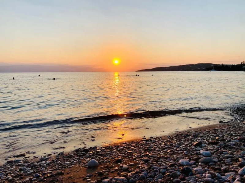 Roxanne's Olive Grove House