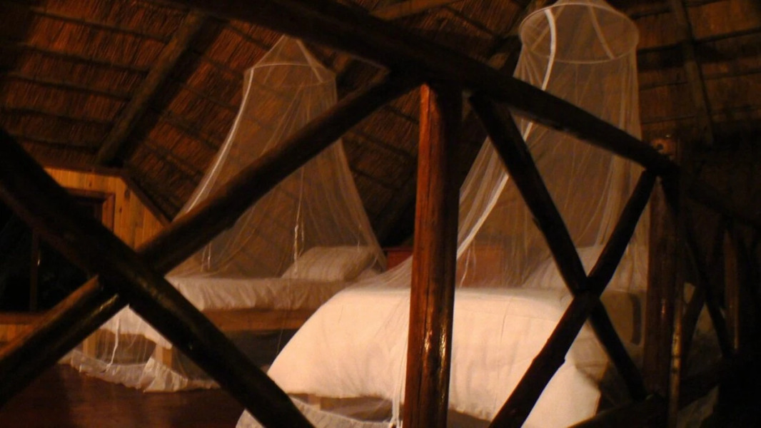 Lion Tree Bush Lodge