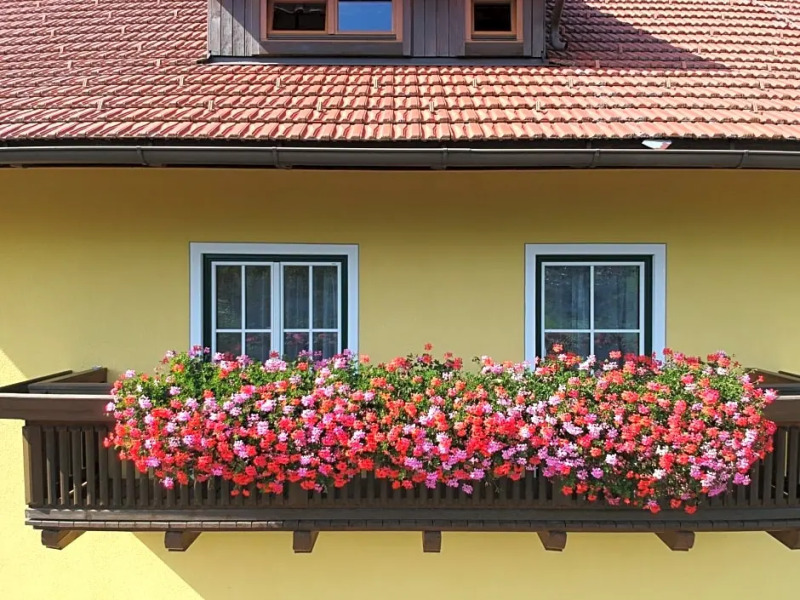 Ferienwohnungen Simonbauer