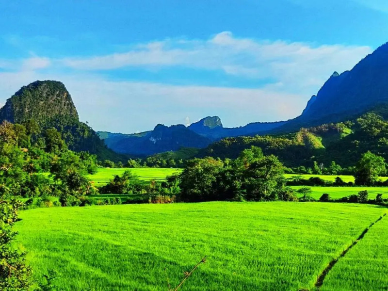 Sunset Bungalows & GH