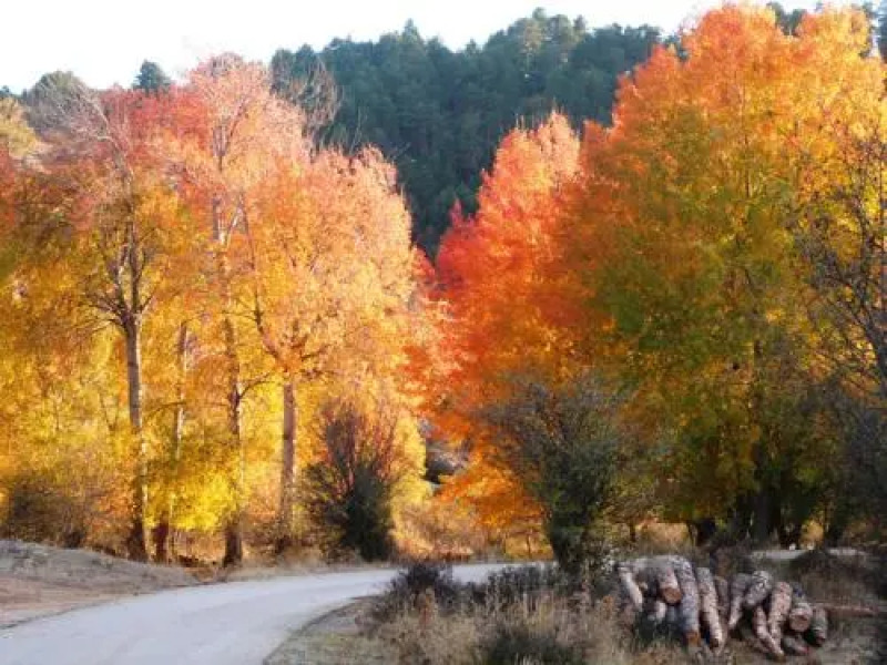 Albergue de San Blas