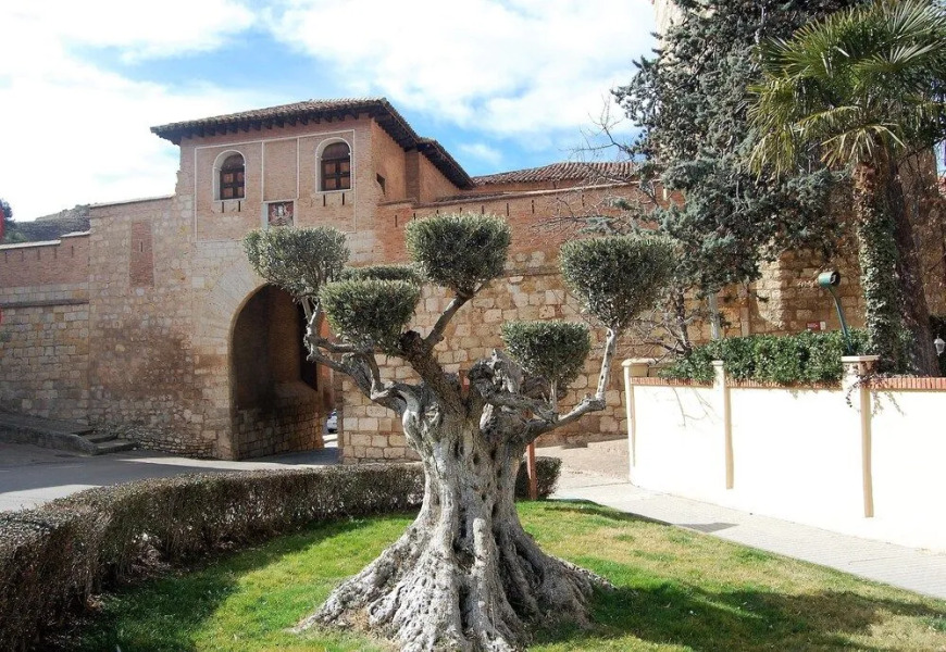 Daroca Alojamientos
