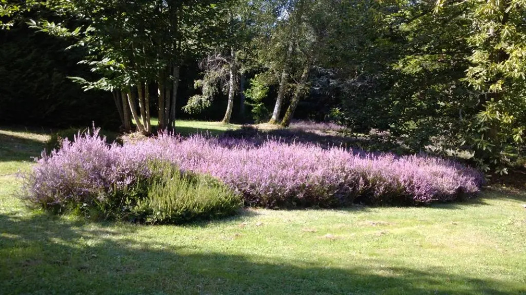 Chambres d'Hôtes Le Chalet