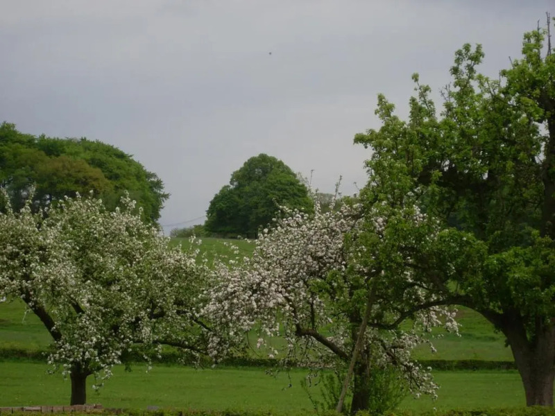 Du Cote de Chez Jeanne, Suite (Adults Only)