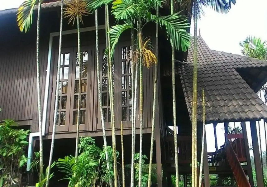 Carpe Diem Orchard Home