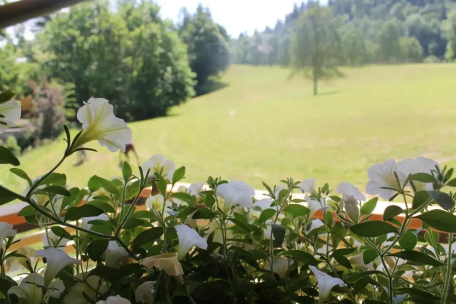 House Gabrijel (room by a stream)