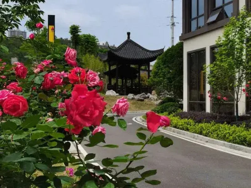 Wellton International Hotel (Shangyou)