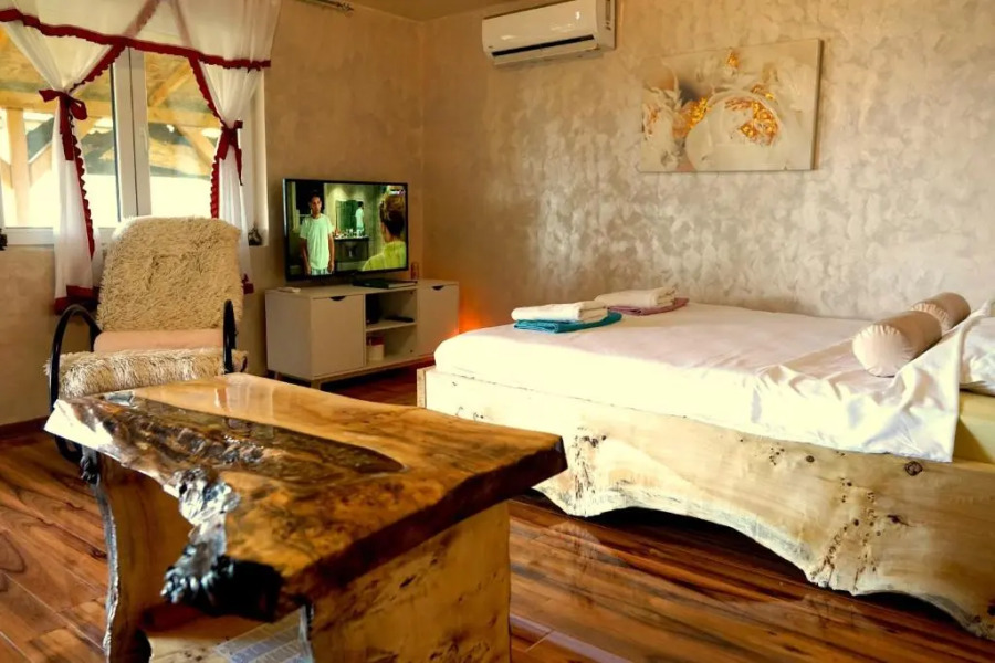 Studio Apartman Dunavski Raj