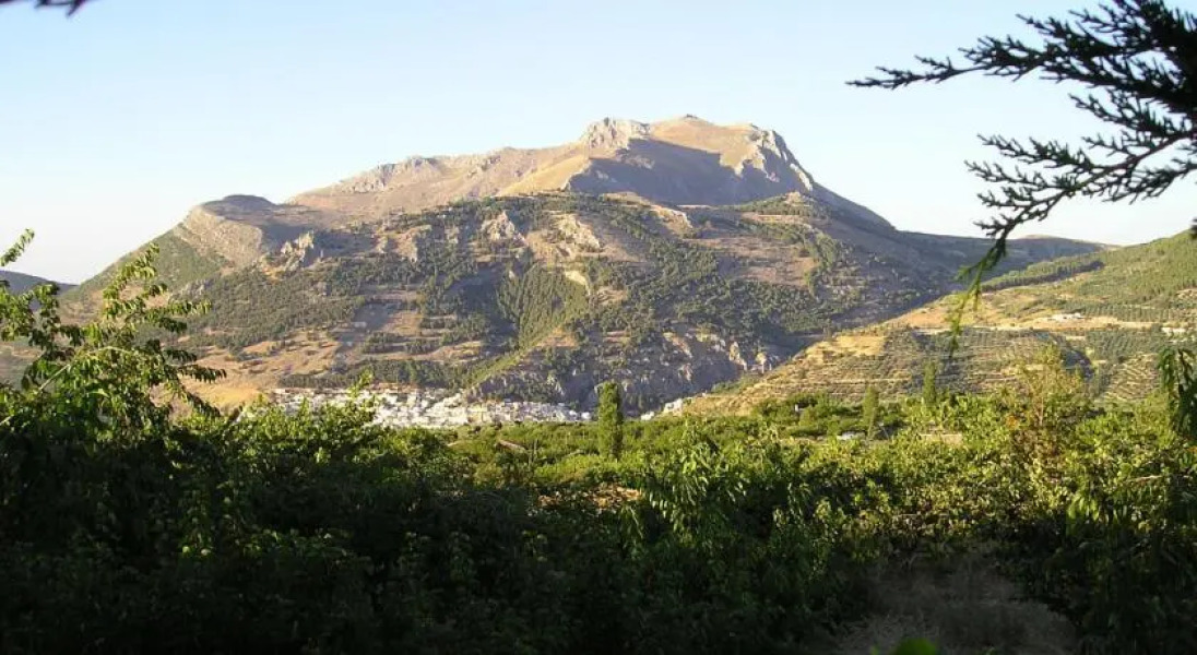 Holiday Home El Nogal